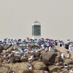 Simak Keutamaan Puasa Arafah Sebelum Idul Adha. Foto: Ist