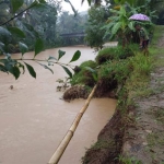 Talud di Desa Sidomulyo yang ambrol terkikis air sungai.