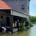 Banjir rob di Gresik.