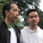 Jokowi dan Gibran Rakabuming Raka. Foto: Antara