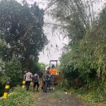 Rumpun bambu tumbang dan memicu tanah longsor di Tulungrejo, Kota Batu.