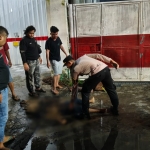 Petugas Polres Gresik saat olah TKP dan evakuasi  kedua terduga pelaku yang tergeletak di tanah usai dimassa. foto: ist.