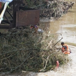 Pohon bambu yang terbawa arus dan tersangkut di bawah Jembatan Brantas Lama Kota Kediri. Foto: Ist