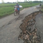 Kondisi jalan poros kecamatan Senori yang ambles. foto: AHMAD/ BANGSAONLINE