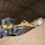 Sekam padi yang dimanfaatkan sebagai bahan bakar alternatif di Pabrik Tonasa 4 dan 5. Foto: Ist