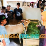 Gubernur Khofifah saat memberikan sapi ke Nanda. Foto: Devi Fitri Afriyanti/BANGSAONLINE