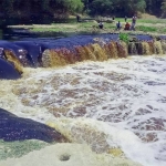 HITAM PEKAT: Tampak foto air Sungai Bengawan Solo di Kecamatan Ngraho Bojonegoro berwarna hitam. Perubahan warna air sungai itu diduga akibat tercemar limbah industri batik dari Jateng. foto: EKY NURHADI/ BANGSAONLINE
