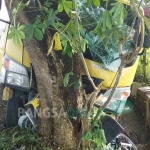 Kondisi motor korban yang terjepit truk dan pohon. foto: AKINA/ BANGSAONLINE