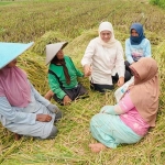 Khofifah Indar Parawansa saat memberikan apresiasi kepada petani di Jatim. Foto: Ist.