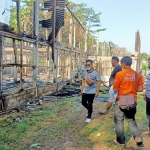 Kandang ayam yang ludes terbakar.