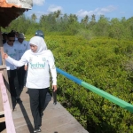 Gubernur Khofifah saat meninjau mangrove di Pancer Cengkrong, Trenggalek.