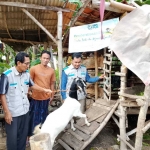 Penyaluran kambing bantuan YBM PLN ke buruh serabutan di Sumenep