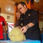 Bupati Trenggalek Dr. Ir Mulyadi saat hendak mencicipi buah durian. (herman/BANGSAONLINE)