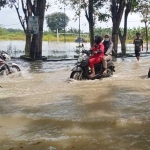Kondisi banjir luapan Kali Lamong yang merendam salah satu desa. foto: SYUHUD/ BANGSAONLINE