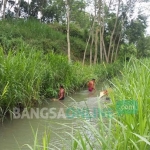 Pencarian potongan kepala korban mutilasi di sungai sekitar ditemukannya mayat.