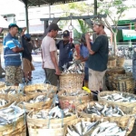 Aktivitas jual beli ikan di TPI Lumpur, Gresik. foto: SYUHUD/ BANGSAONLINE