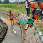 Petugas saat mengevakuasi jenazah bayi yang ditemukan di saluran air, Desa Rejoslamet Jombang