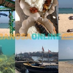 Foto: BANGSAONLINE
