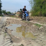 Jalan penghubung dua desa yang rusak di Bojonegoro.
