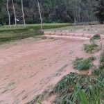 Kondisi banjir di Desa Karang Rejo, Kecamatan Arjosari Pacitan.