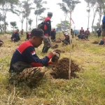 Para pemuda sedang melakukan penanaman.