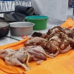 Barang bukti berupa ayam tiren yang disita Satreskrim Polres Blitar Kota saat penggerebekan di Jalan Jati, Kecamatan Sukorejo, Kota Blitar. Daging ayam tiren itu berbahaya jika dikonsumsi.