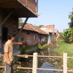 Anak Sungai Wrati di desa Gempol yang mengalami pendangkalan. foto: HABIBI/ BANGSAONLINE