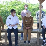 Presiden Jokowi (paling kanan) bersama Gubernur Khofifah, Menteri Pertanian, dan Bupati Gresik saat kunjungan kerja di Desa Sukodono, Kecamatan Panceng. Foto: Ist