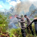 Fenomena El Nino Dapat Berpotensi Kebakaran Hutan. Foto: Ist