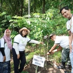 Pj Wali Kota Kediri bersama Manajer PLN UP 3 Kediri saat menanam pohon di Sumber Patirtan, Kelurahan Pojok, Kecamatan Mojoroto. Foto: Ist