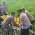 Petugas saat mengevakuasi jasad korban