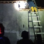 Petugas dari Damkar Kabupaten Pasuruan saat mengevakuasi sarang tawon vespa yang meresahkan warga.