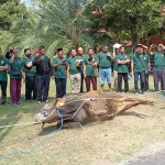 Pelatihan penyembelihan hewan kurban kepada para takmir masjid di Kota Kediri. Foto: Ist