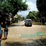 Genangan air di Desa Sukorejo Kecamatan Gandusari. foto: BANGSAONLINE