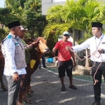 Manajer Pemasaran UP3 Pamekasan, Umar Arief saat menyerahkan sapi kepada panitia kurban.