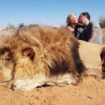 Pasutri Darren dan Carolyn Carter, dari Edmonton, Alberta, Kanada, berciuman merayakan keberhasilan membunuh singa raksasa. Salah apa sih singa? bagaimana perasaan anda? miris bukan? dunia pun marah. foto: mirror.co.uk