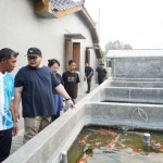 Bupati Kediri Hanindhito Himawan Pramana (bertopi) bersama Mbak Cicha saat mengunjungi pembudidaya ikan KOI. (Ist). 
