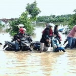 Para pengendara sedang mendorong motor menerjang arus banjir luapan Kali Lamong. foto: ist.