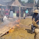 Aksi pembakaran tembakau oleh petani di Kabupaten Probolinggo sebagai aksi protes karena gudang tak segera buka.