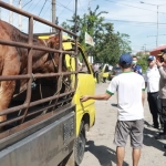 Kapolresta Sidoarjo Kombes Pol. Kusumo Wahyu Bintoro saat mengecek pos penyekatan hewan ternak di wilayah Krian, Selasa (7/6/2022).