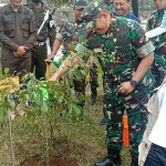 Pangdivif 2 Kostrad Mayjen TNI Syafrial saat melakukan penanaman pohon di Lapangan Sumbergondo, Kota Batu.