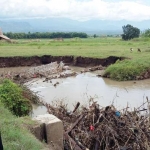 Tingginya curah hujan selama beberapa hari terakhir yang melanda Mojokerto membuat sejumlah kawasan terendam. Banjir membuat petani merugi dan terancam gagal panen karena sawahnya rawan terendam. Foto: YUDI EKO PURNOMO/BANGSAONLINE