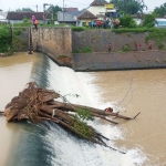 Petugas gabungan berjibaku mengangkat pohon tumbang di dam telusur. foto: YUDI EP/ BANGSAONLINE 