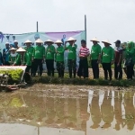 Bupati Bangkalan R. Abdul Latif mencoba memanam padi dengan mesin disaksikan oleh Forpimda dan para petani di Desa Karang Gayam Blega Bangkalan, Rabu (29/01/2019).