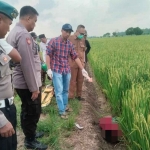 Jenazah petani di Gresik tewas tersetrum jebakan tikus di sawah milik kepala dusun. Foto: Ist.