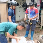 Petugas saat mengamankan seekor ular. (Ist). 
