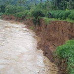 Kondisi tanggul Sungai Grindulu di Dusun Ngawen, Desa Semanten yang mengalami keretakan cukup parah.