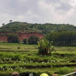 Bukit Juwetsewu, Mojokerto yang berada di tiga desa yaitu,  Desa Wonoploso, Desa Kalikatir, dan Desa Begaganlimo, Kecamatan Gondang, Kabupaten Mojokerto.