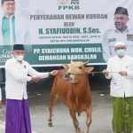 Ketua DPC PKB Bangkalan H. Syafiuddin menyerahkan sapi kurban kepada Pengasuh Pondok Pesantren Syaikhona Kholil KH. Fakhrillah Aschal.