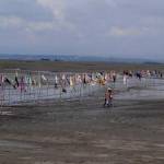 SIMBOLISASI MARGINAL: Deretan tiang kain bekas yang disebut seni instalansi GOMBAL, di kolam lumpur titik 71 di Desa Ketapang Kecamatan Tanggulangin, Sidoarjo, Senin (30/5). foto: musta
